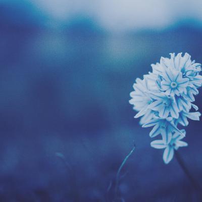 19 – J’ai pas dosé ma force (Adèle)