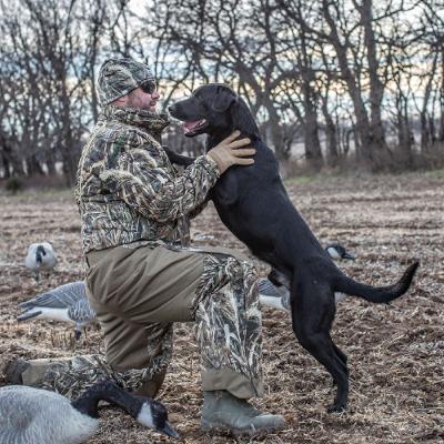 E519 - The Drive That Never Fades - The Eukanuba Duck Dog Series E519 - The Drive That Never Fades - The Eukanuba Duck Dog Series