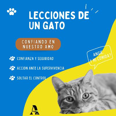 15- Lecciones de un gato: Parte 1 - Confiando en nuestro amo 15- Lecciones de un gato: Parte 1 - Confiando en nuestro amo