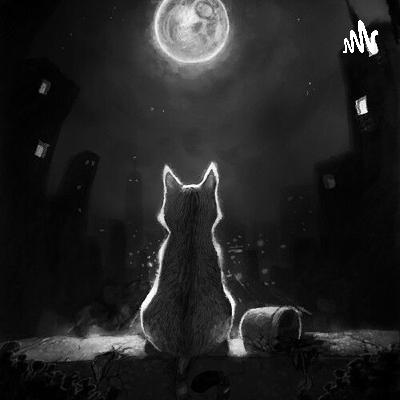 El Gato Desvelado (Trailer)