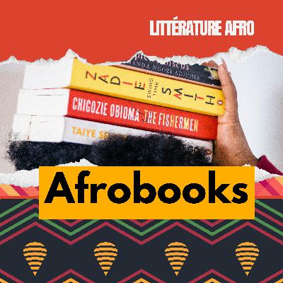 1. Le deuil : trois livres afro que j’ai aimés (Adichie & Faye)