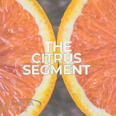 December Chair Chat with Mark Doecke December Chair Chat with Mark Doecke