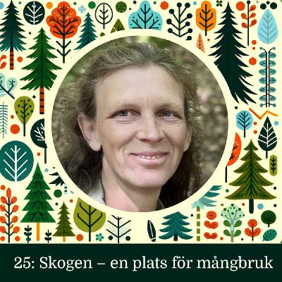 Skogen – en plats för mångbruk