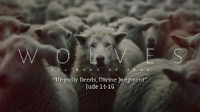 Ungodly Deeds, Divine Judgment - Video Ungodly Deeds, Divine Judgment - Video