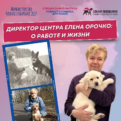Интервью с директором Центра «Собаки-помощники» Еленой Орочко