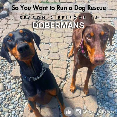 2.15: National Doberman Day -- Tales from the Rescue Trenches
