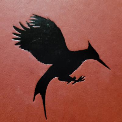 It's a plane, it's a bird, it's a ... mockingjay??