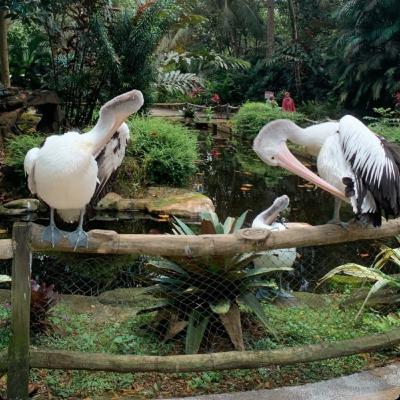 Random Talk (gaji guru - lost respect) Random Talk (gaji guru - lost respect)