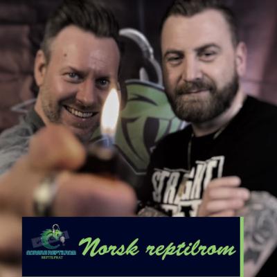REPTILPRAT #1 2023 Gjester Rogaland Reptil klubb