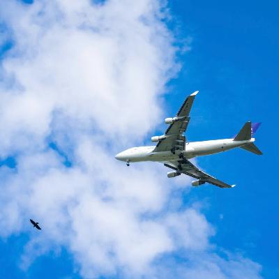 Ep 5: Up In the Air! It's a Bird! It's a Plane! It's a... Finnish Sauna? Ep 5: Up In the Air! It's a Bird! It's a Plane! It's a... Finnish Sauna?