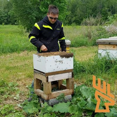 Ep 179 Introducing Bees To Your Hunting Property, Food Plots, Pollinators