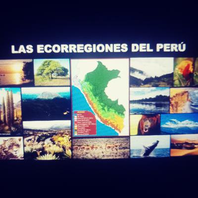 PROMOCION DE UNA VIDA SALUDABLE SEGUN MI COMUNIDAD Y REGION