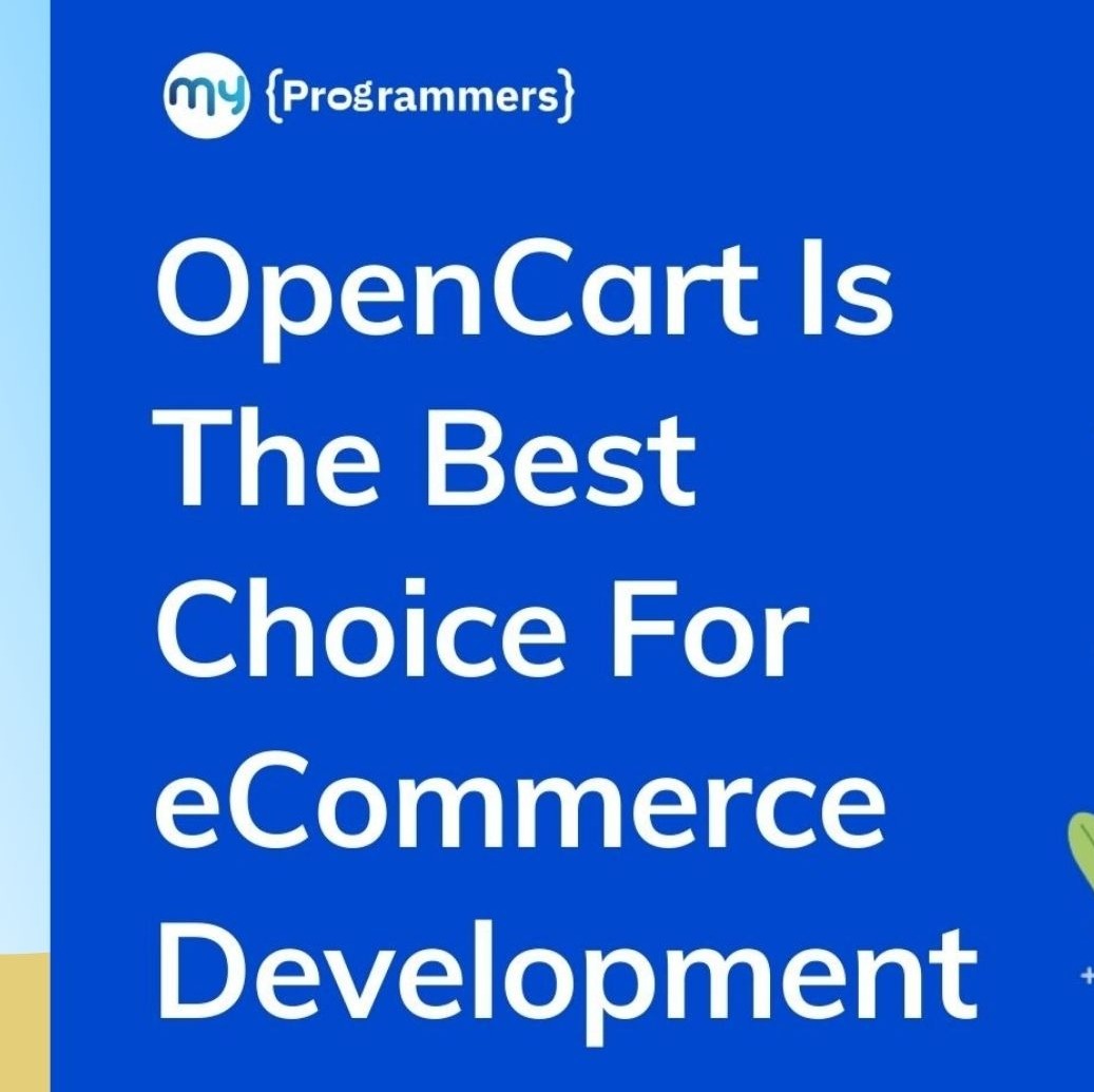 How To Choose The Best OpenCart Developers For Your Online Store