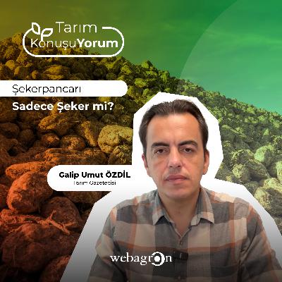 Tarım KonuşuYorum | Tarım Gazetecisi Galip Umut Özdil | Şekerpancarı Sadece Şeker mi?
