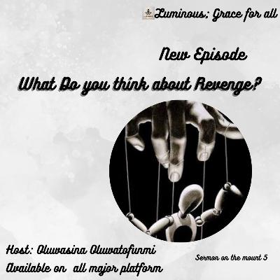 What do you think about Revenge