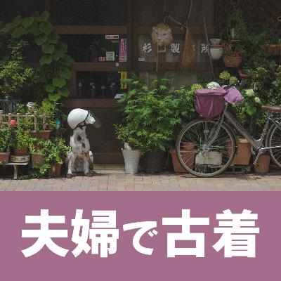 #72着目 「 出版区が面白い。 」