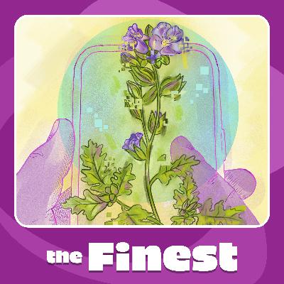 Scientists are still mapping plants. How the public is helping — with an app Scientists are still mapping plants. How the public is helping — with an app