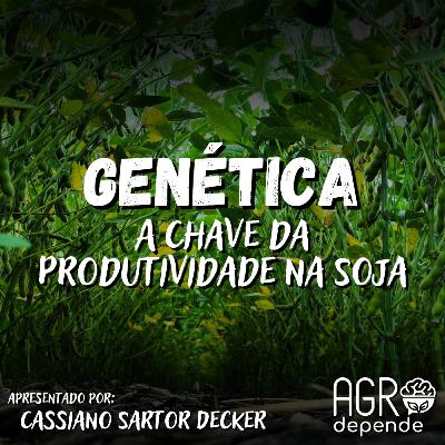 Genética: A Chave da Produtividade na Soja