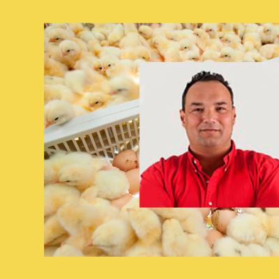 CHARLANDO CON EXPERTOS AVÍCOLAS - La incubación avícola a análisis, Juan Carlos López