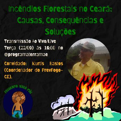 Incêndios Florestais no Ceará: Causas, Consequências e Soluções Incêndios Florestais no Ceará: Causas, Consequências e Soluções