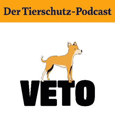 Mein Hund hat Leishmaniose Mein Hund hat Leishmaniose