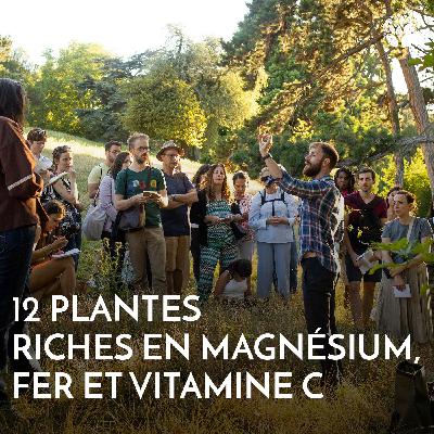 12 plantes riches en magnésium, fer et vitamine C