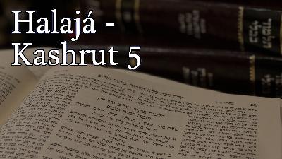 Halaja - Kashrut 5