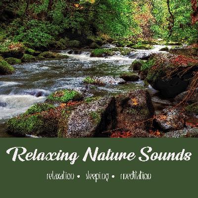 Falls in the Forest (for sleep) | Three Hours