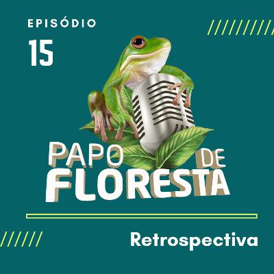 Retrospectiva 2021: O Mercado Madeireiro