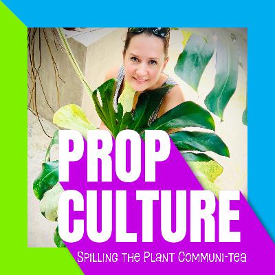 S02E06 | Plant Show in Thailand – Interview With Anastasia Shokhrin @foliage_fancies (and IAS Treasurer) S02E06 | Plant Show in Thailand – Interview With Anastasia Shokhrin @foliage_fancies (and IAS Treasurer)