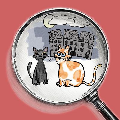 Kater Vivaldi: Die Magie der Nacht
