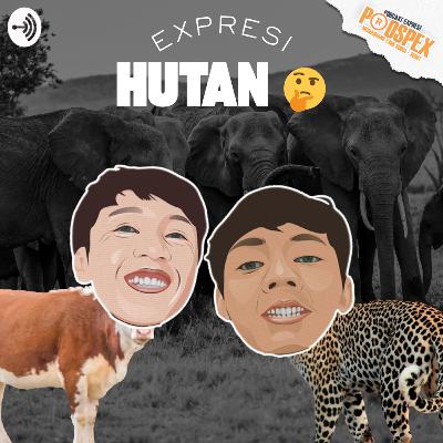Si Tiba-tiba pengen pelihara Gajah Si Tiba-tiba pengen pelihara Gajah