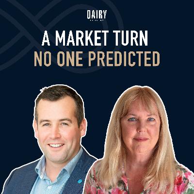 Episode 101 - A market turn no one predicted