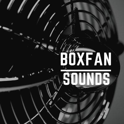 Box Fan
