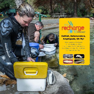Epsiode 4 | Catfish, Salamanders, Amphipods, oh my!