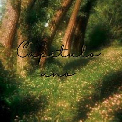 Capitulo 1
