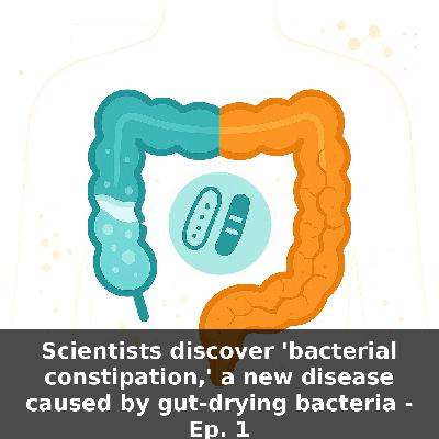 Chronic Constipation Breakthrough — New Gut Bacteria Disease Explained