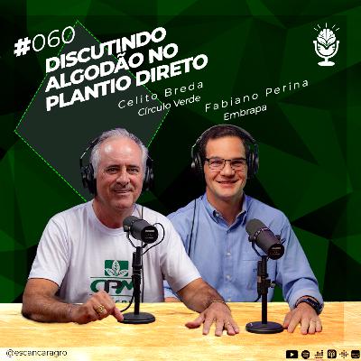 Discutindo algodão no plantio direto! Com Celito Breda e Fabiano Perina! 🟢 #060