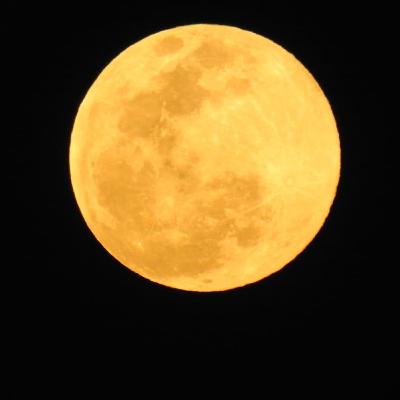 Proceso Creativo en el cerebro