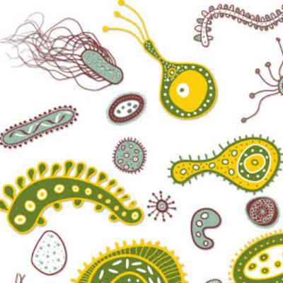 Um estudo sobre os impactos dos biofilmes microbianos nas indústrias