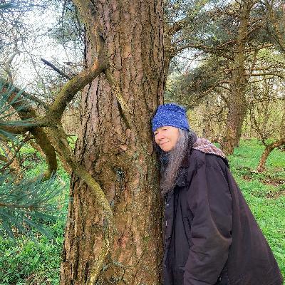 Im Ohr der Landschaft – Die Künstlerin Josephine Dickinson