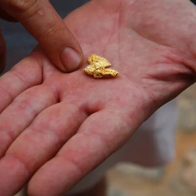 Illegal mining is a major crisis in Brazil: Lawless mining has destroyed over 4,000 hectares Illegal mining is a major crisis in Brazil: Lawless mining has destroyed over 4,000 hectares