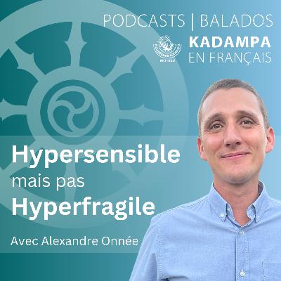 Hypersensible mais pas hyperfragile Hypersensible mais pas hyperfragile