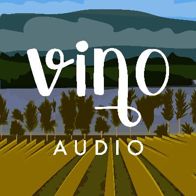 Cap 10 - PERIODISMO VITIVINÍCOLA