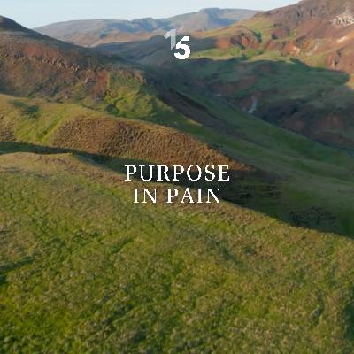 Purpose in Pain