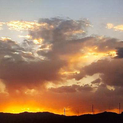 Recovery from Covid and the health complications