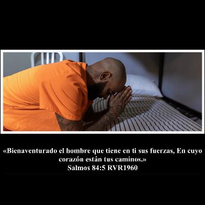 Fuerza Fuerza