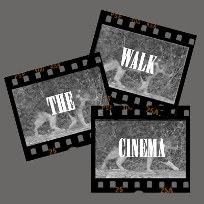 Leading Ladies of Hollywood | Walk The Cinema | S2E3