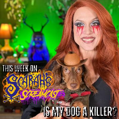 Is My Dog a Killer?