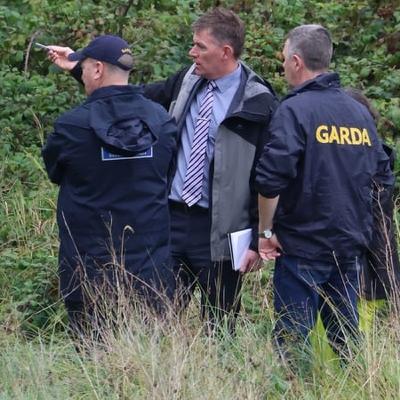 Dept defends referring missing boy case to review panel